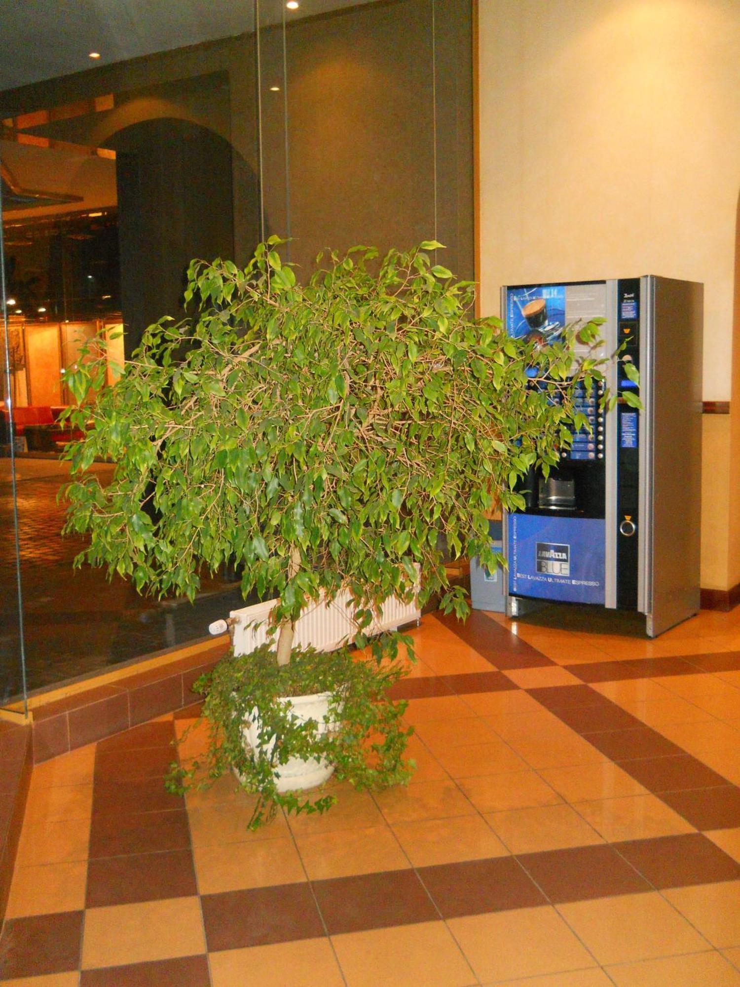 Diplomat Aparthotel Kiev Esterno foto